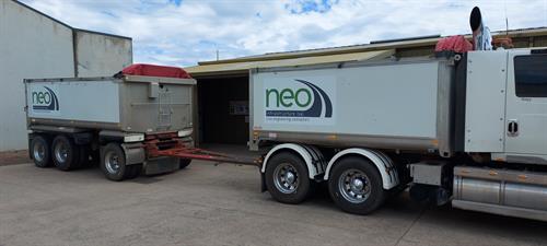 neo_small